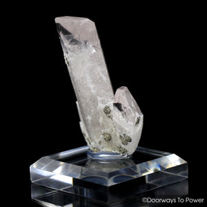 Danburite Synergy 12 Stone Twin Crystal Specimen Pyrite