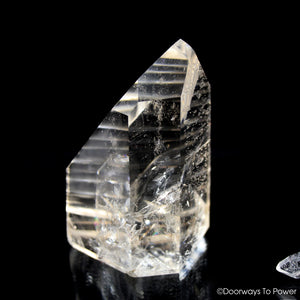 Golden Healer Lemurian Seed Sunken Record Keeper Crystal