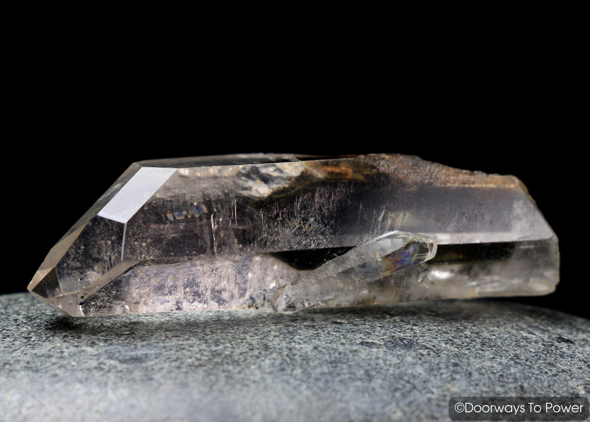 Brookite in Natural Quartz Record Keepers Dolphin Crystal Rare Synergy 12 Stone