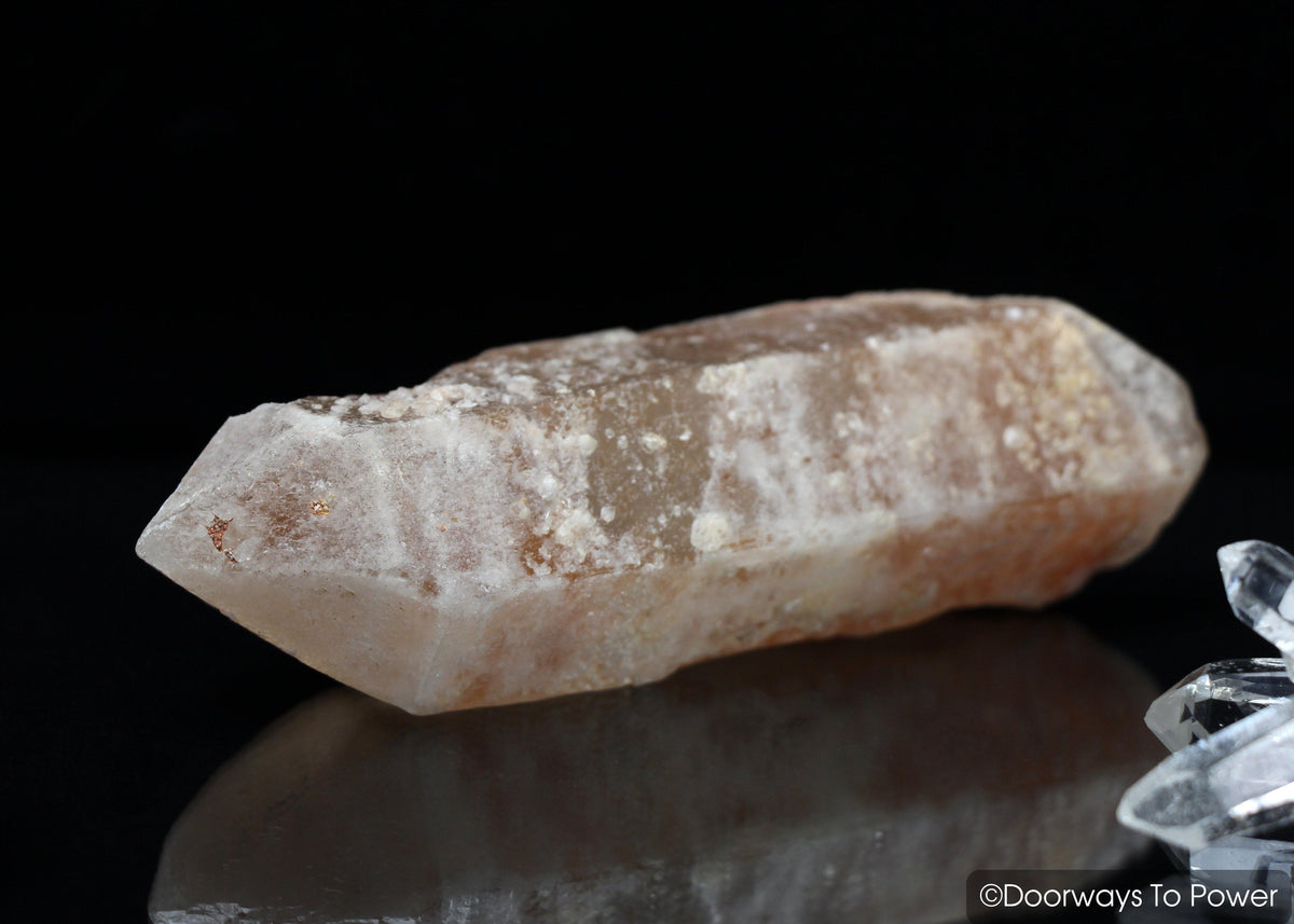 Dreamsicle Lemurian Quartz Crystal Record Keeper 