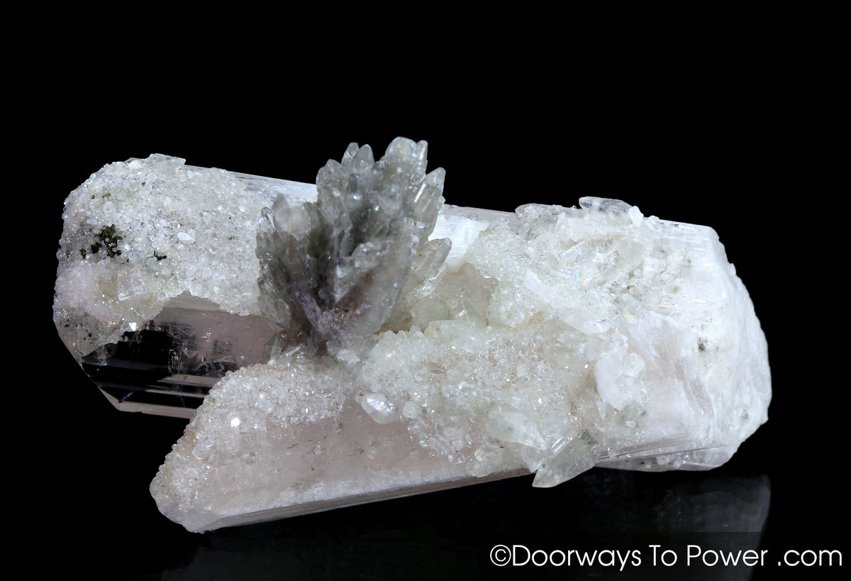 Danburite Twin Record Keeper Crystal | Covered in Druzy Crystals