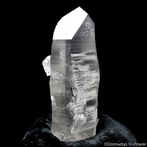 Black Lemurian Seed Phantom Quartz Record Keeper Crystal 
