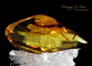 Colombian Amber 