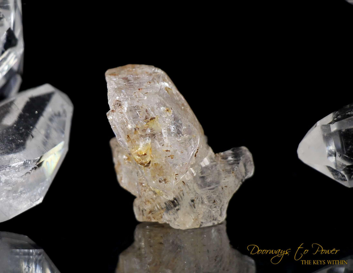 Phenacite Synergy 12 Stone