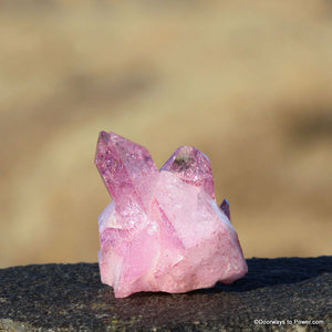 RARE Rose Aura Lemurian Pleiadian Starbrary Twin Crystal Cluster