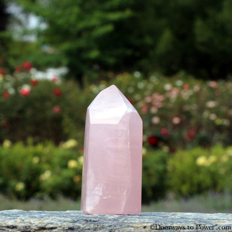 Rose Quartz John of God Channeling Casa Healing Crystal
