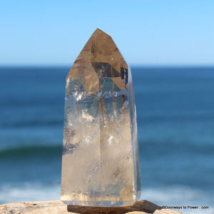 3.55" Citrine John of God Integration Transmitter Altar Stone Prosperity Crystal