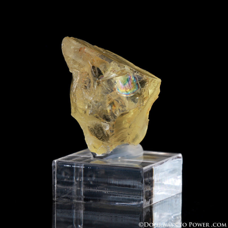Rare Royal Yellow SANIDINE Specimen Ultimate Abundance Crystal