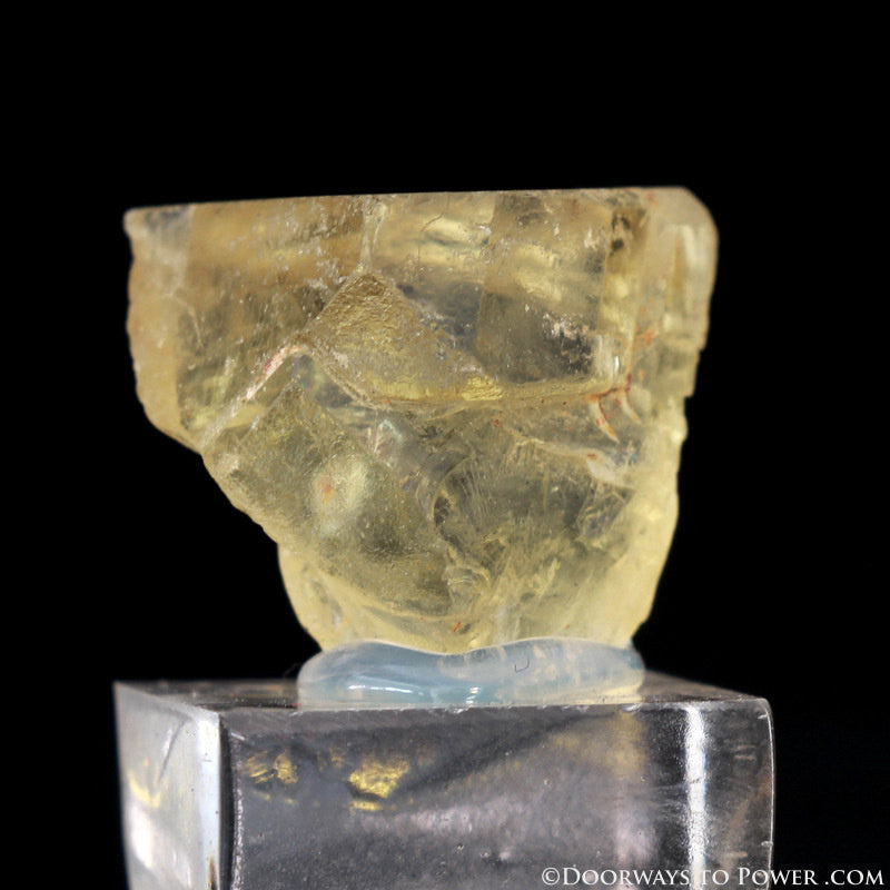 Royal Yellow SANIDINE Specimen Ultimate Abundance Crystal
