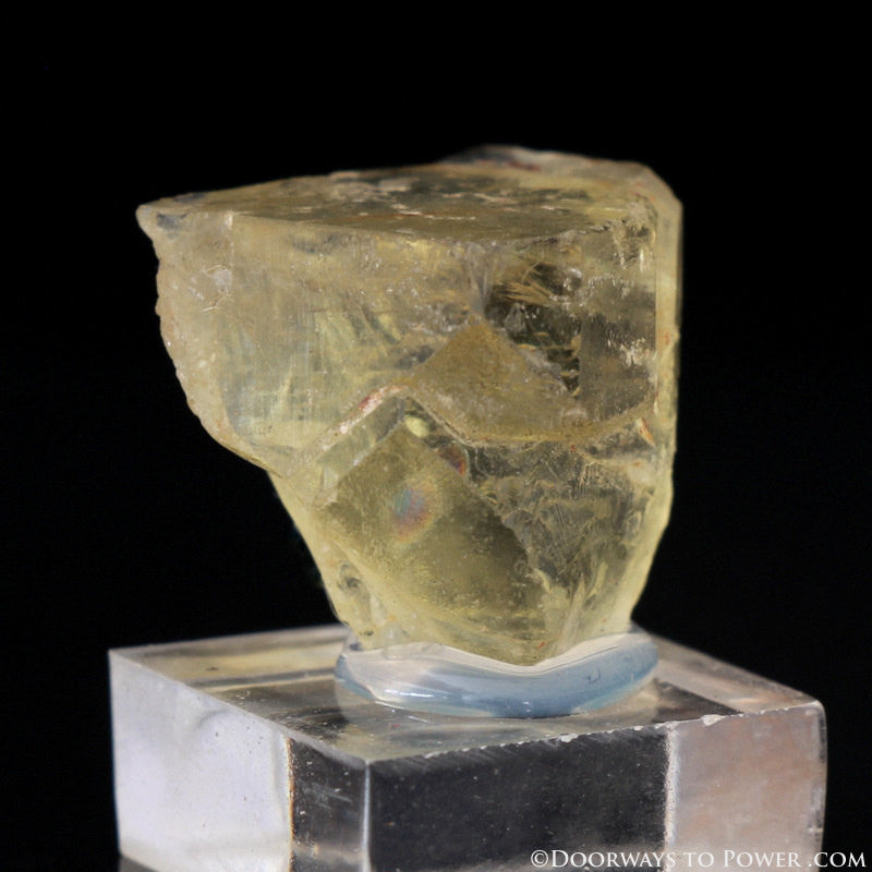 Royal Yellow SANIDINE Specimen Ultimate Abundance Crystal