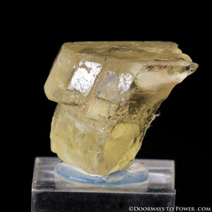 Royal Yellow SANIDINE Specimen Ultimate Abundance Crystal