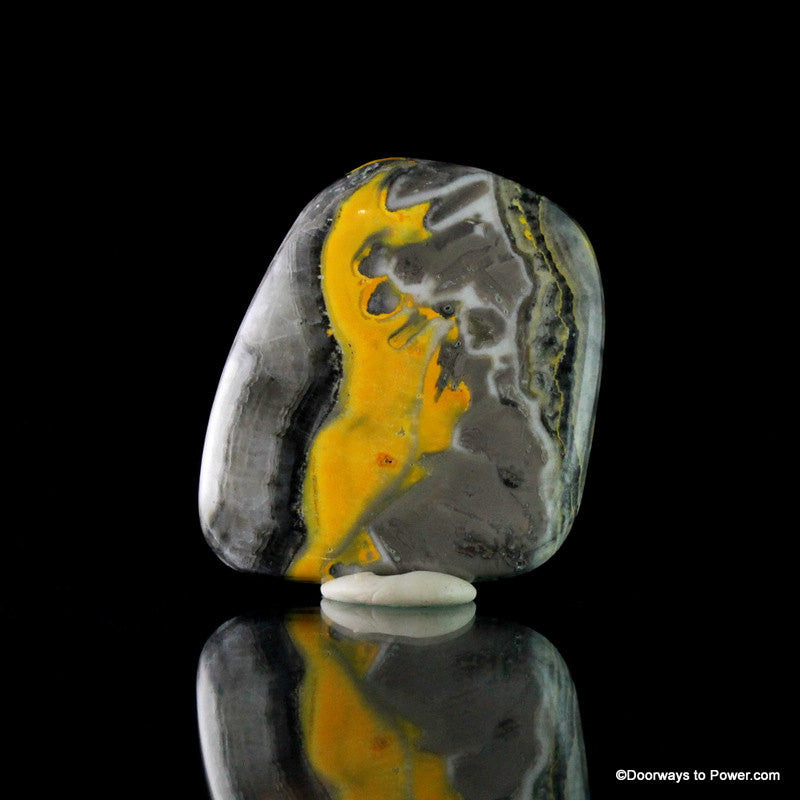 Stunning BUMBLE BEE JASPER Cabochon