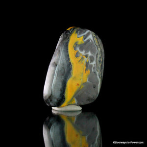 Stunning BUMBLE BEE JASPER Cabochon