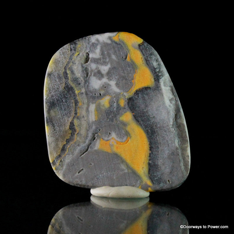Stunning BUMBLE BEE JASPER Cabochon