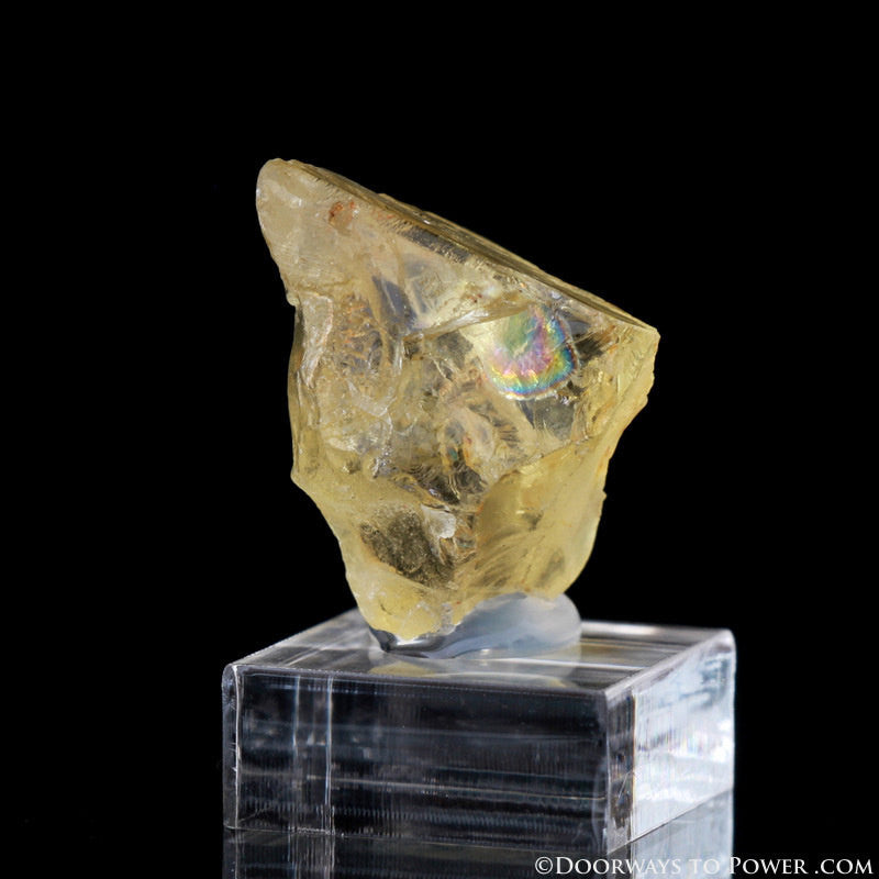 Rare Royal Yellow SANIDINE Specimen Ultimate Abundance Crystal