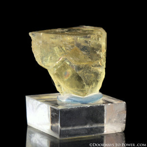 Royal Yellow SANIDINE Specimen Ultimate Abundance Crystal