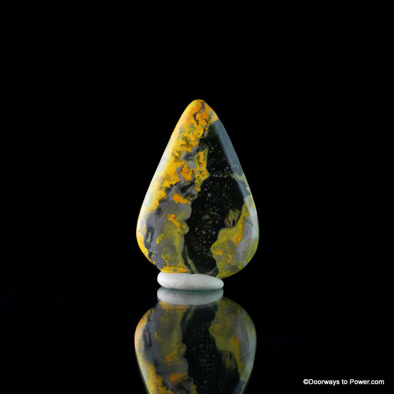 Stunning BUMBLE BEE JASPER Cabochon
