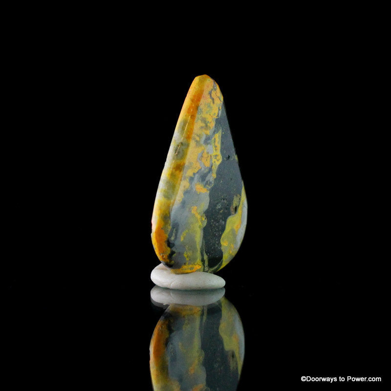 Stunning BUMBLE BEE JASPER Cabochon