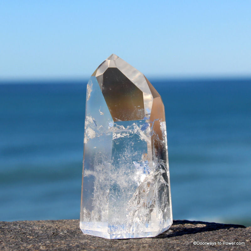 Lemurian Starseed Polished Temple Heart DOW Crystal Point