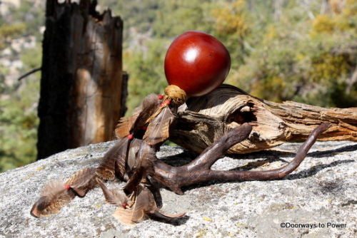 Shamanic Gourd Rattle 20"